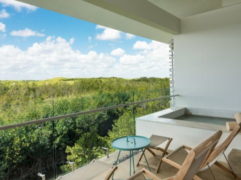 Beach area Plunge Pool Suite