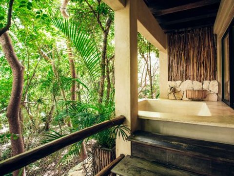 Junior Jungle Suite with Plunge Pool