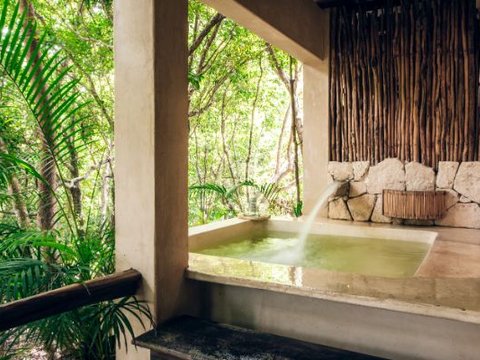 Junior Jungle Suite with Plunge Pool