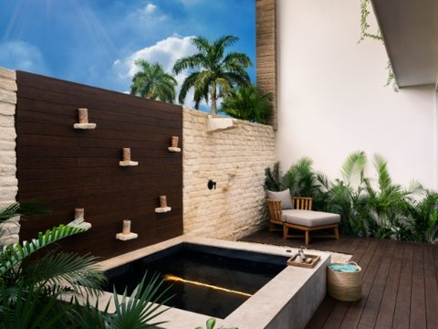 Beachfront Terrace Pool Suite