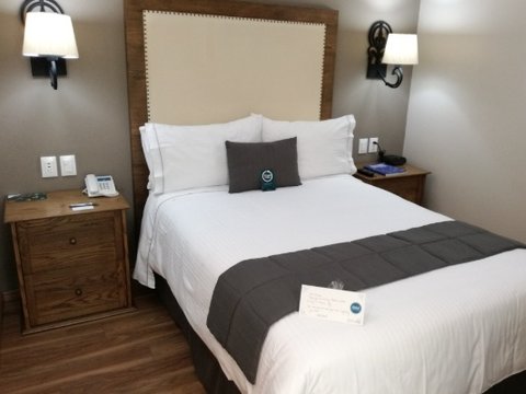 Deluxe Room with 1 king bed