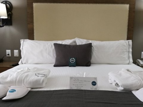 Deluxe Room with 1 king bed