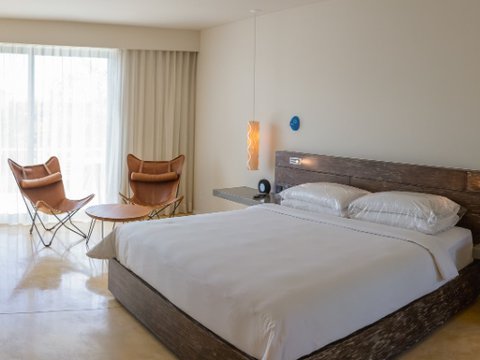 ADA Andaz Suite