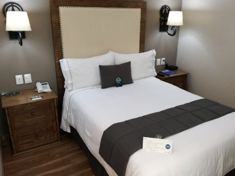 Standard Room with 1 double bed