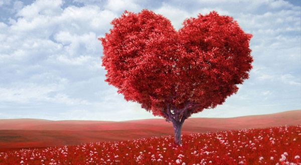 Hotel Zenit Barcelona - Barcelona