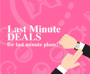 Last minute deals nz hotels