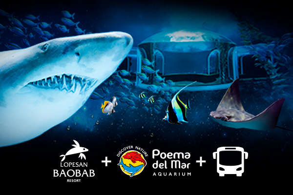 El Acuario Poema del Mar, en Las Palmas de Gran Canaria, es uno de los atractivos más destacados y originales de la propuesta de la isla como destino turístico para toda la familia. La jungla, los arrecifes y el océano profundo son los tres escenarios que podrás descubrir en esta experiencia y combinarla con tu estancia en el Lopesan Baobab Resort. No compatible con otras ofertas o promociones. Precio mínimo por persona y noche en ocupación doble.